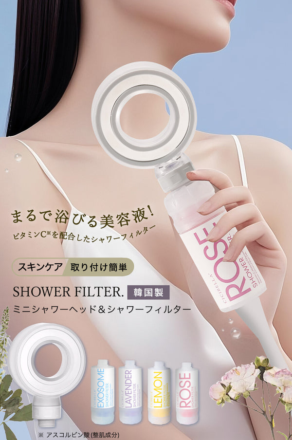 2507206 CI Body Care Shower Filter