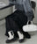 2310041 FY Tank Gore Boots