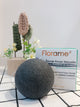 FL053 FLORAME Natural Facial Konjac Sponge with Bamboo Charcoal 天然竹炭魔芋潔面海綿